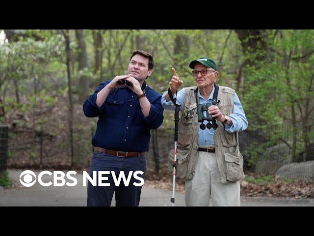 The Screen-Side Sanctuary: What Happens to Our Brains When the Whistle Blows