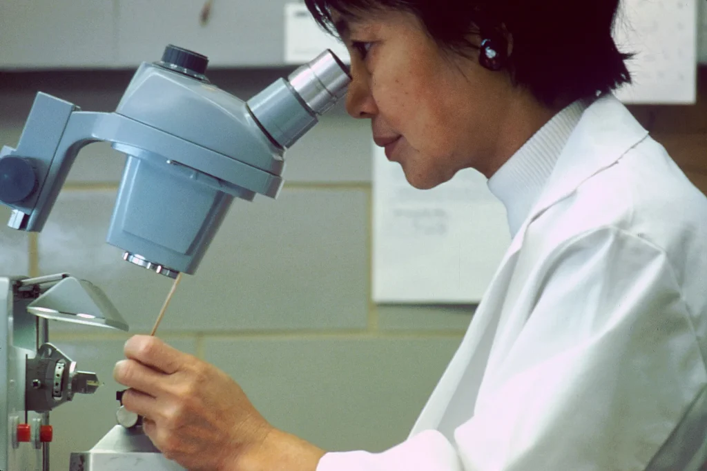 Universities and State Labs Scramble as Epidemiology Contract Stalls Scientist examining a sample through a laboratory microscope